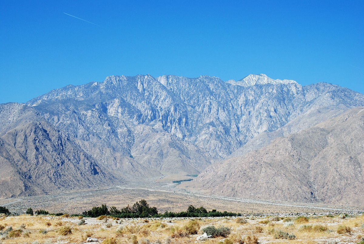 Palm Spring
