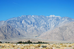 Palm Spring