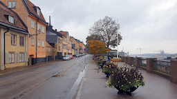 Fjallgatan