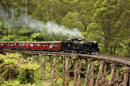 Puffing Billy Train Ride
