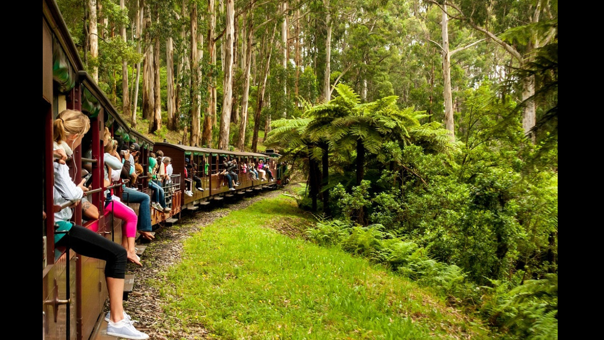 Puffing Billy Train Ride
