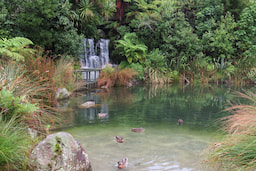 Rainbow Springs 1