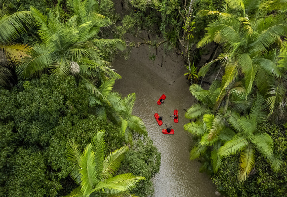Jungle Boating 