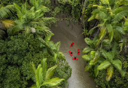 Jungle Boating 