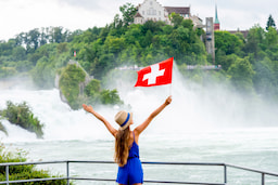 Rhine Falls View