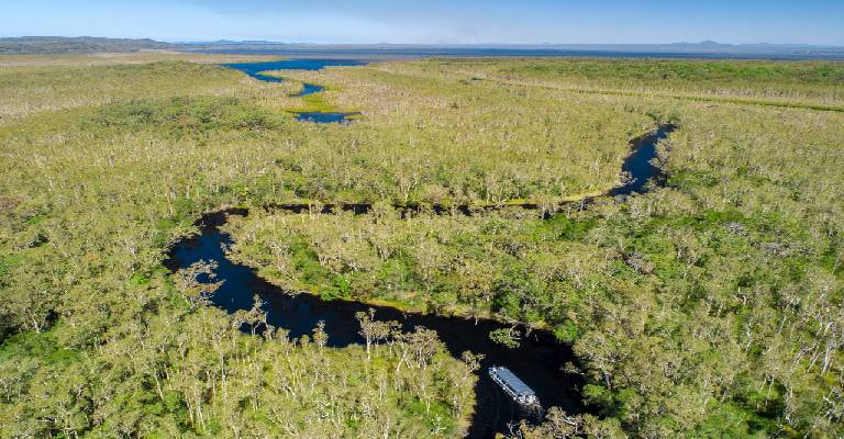Noosa everglades Cruise