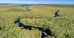 Noosa everglades Cruise