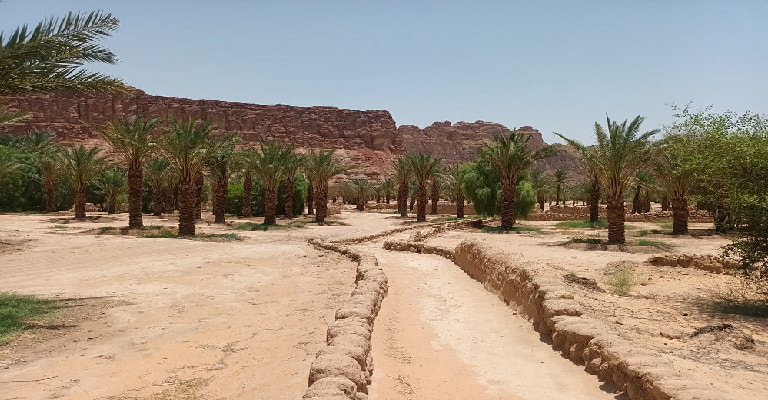 Heritage Oasis Trail