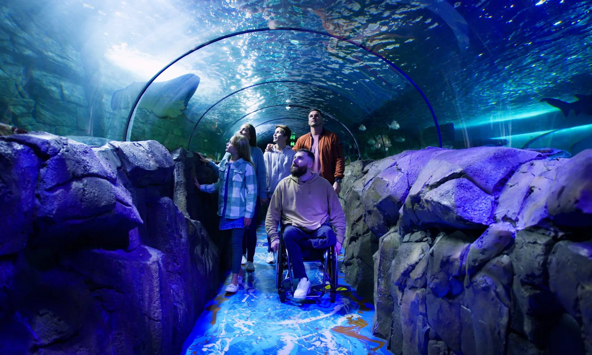 SEA LIFE Sydney Aquarium 1