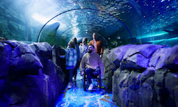 SEA LIFE Sydney Aquarium 1