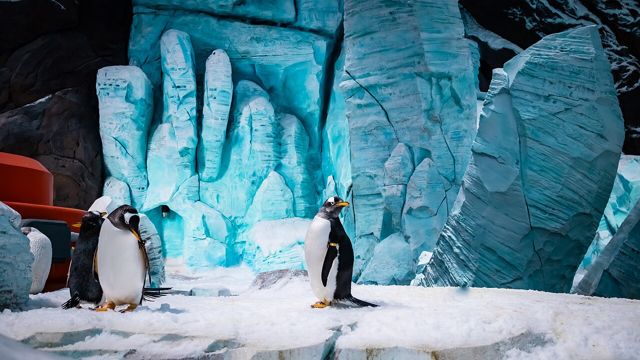 Sea World Abu Dhabi 