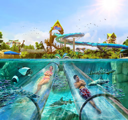Sea world Orlando