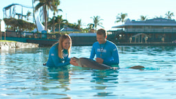 SeaWorld 3