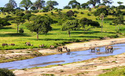 Arusha