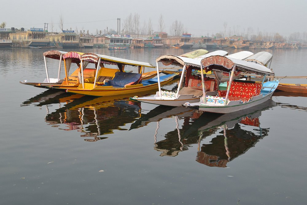 Shikara Ride on Dal Lake