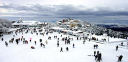 Shimla City Tour 