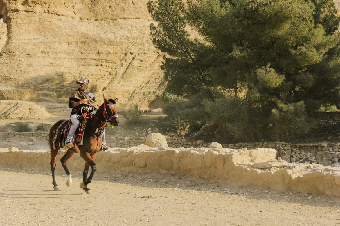 A Short Horse Ride from the Main Gate till the Beginning of the Siq