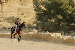 A Short Horse Ride from the Main Gate till the Beginning of the Siq