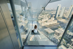 Sky Views Observatory 