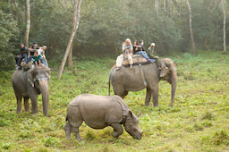 Asian Elephant safari 