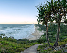 Sunshine Beach 1