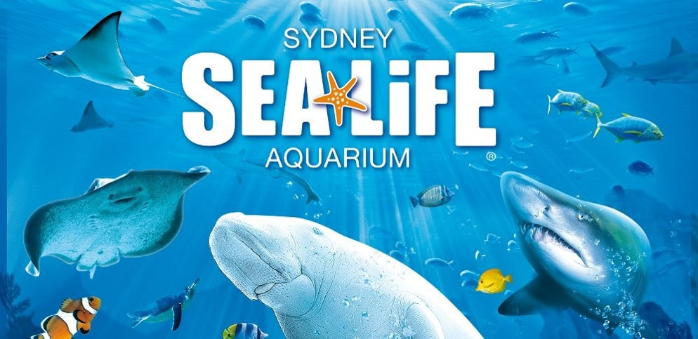 Sea Aquarium Sydney