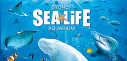 Sea Aquarium Sydney