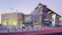 Te Papa Museum