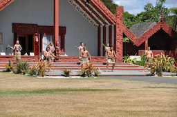 Te Puia Thermal Reserve