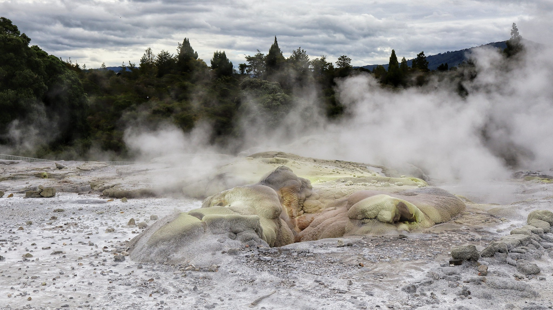 Te Puia Thermal Reserve 1