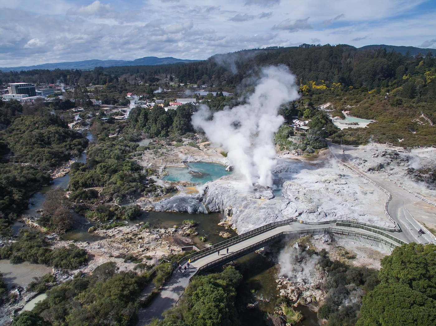 Te Puia Thermal Reserve