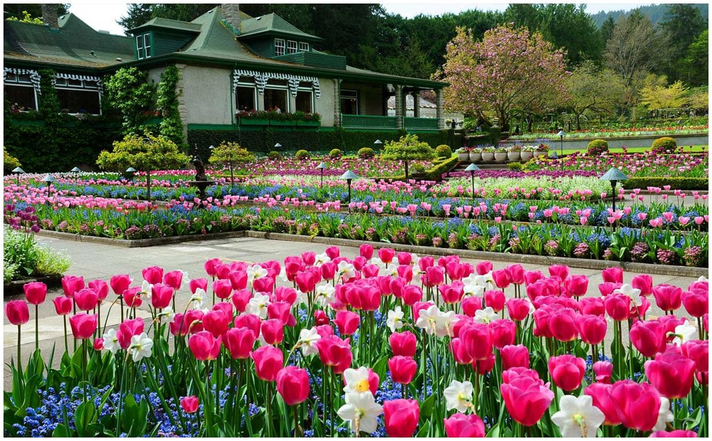 The Butchart Gardens
