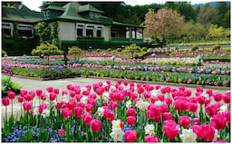 The Butchart Gardens