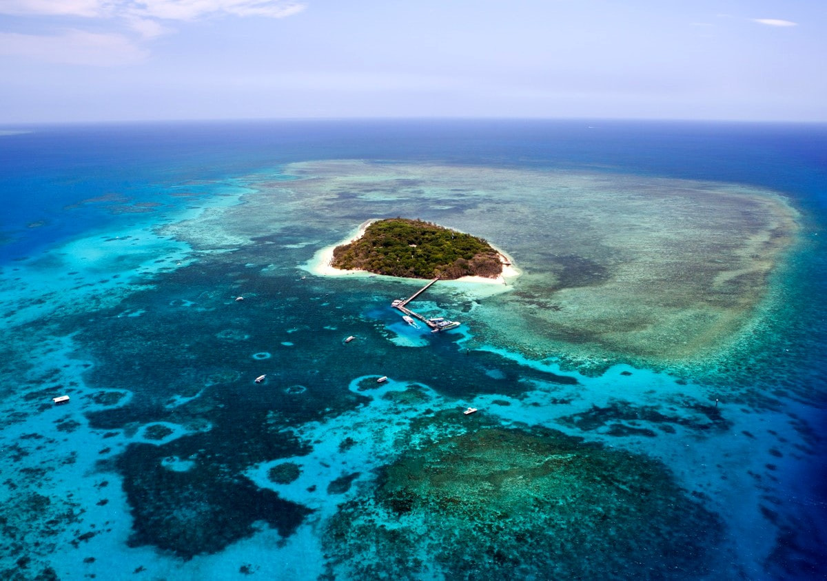 The Great Barrier Reef