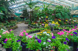 Tibetology & Flower Show