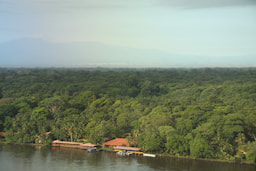 Tortuguero National Park 1