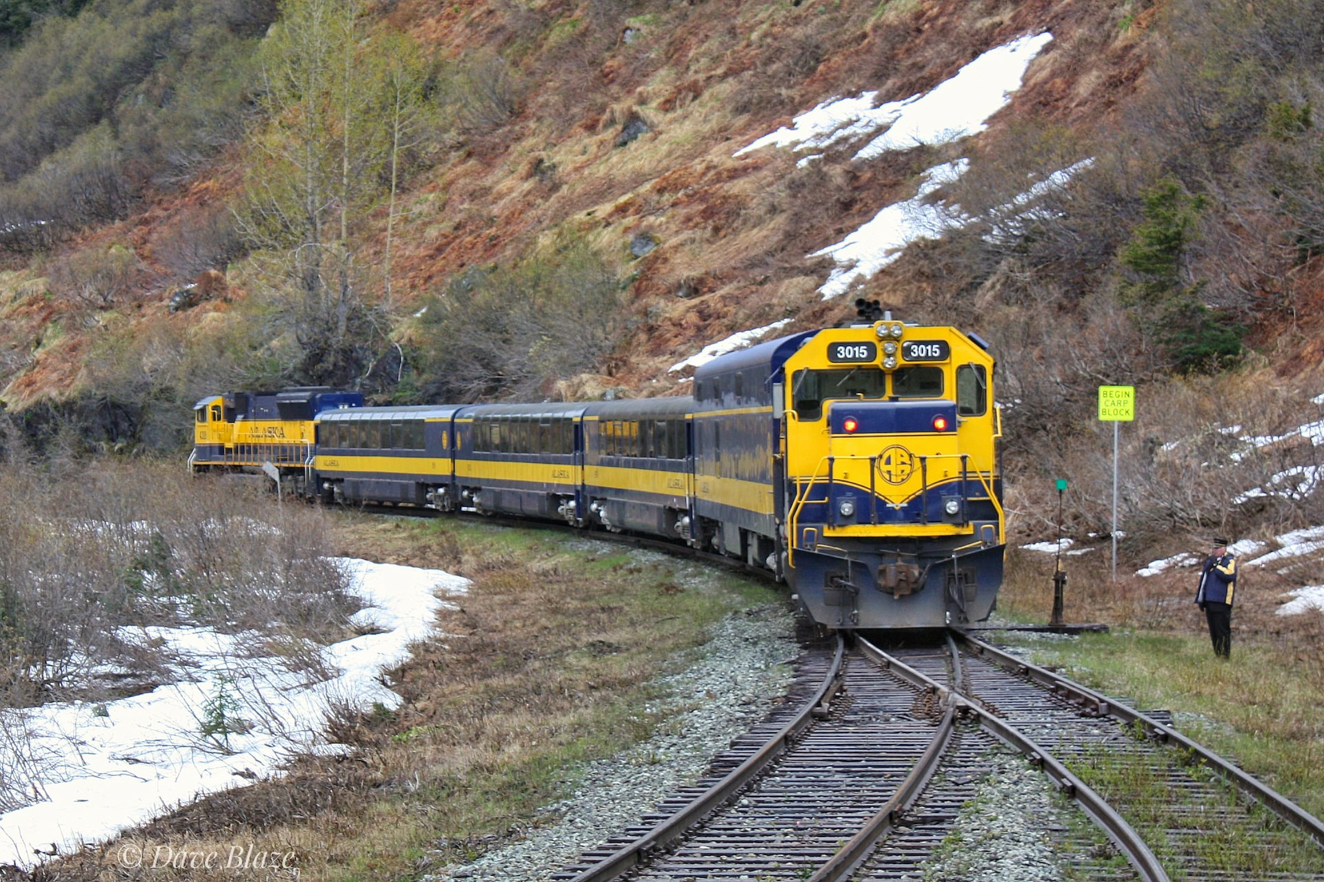 Dome Railcar 2