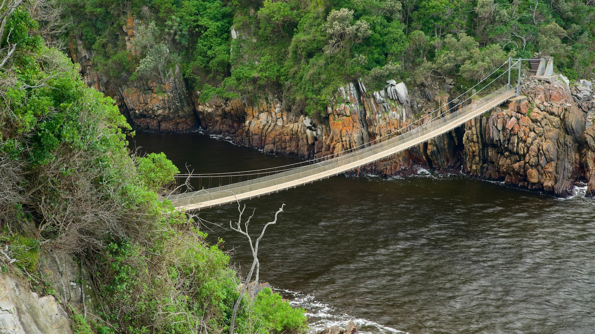 Tsitsikamma National Park with Suspension Bridge Walk