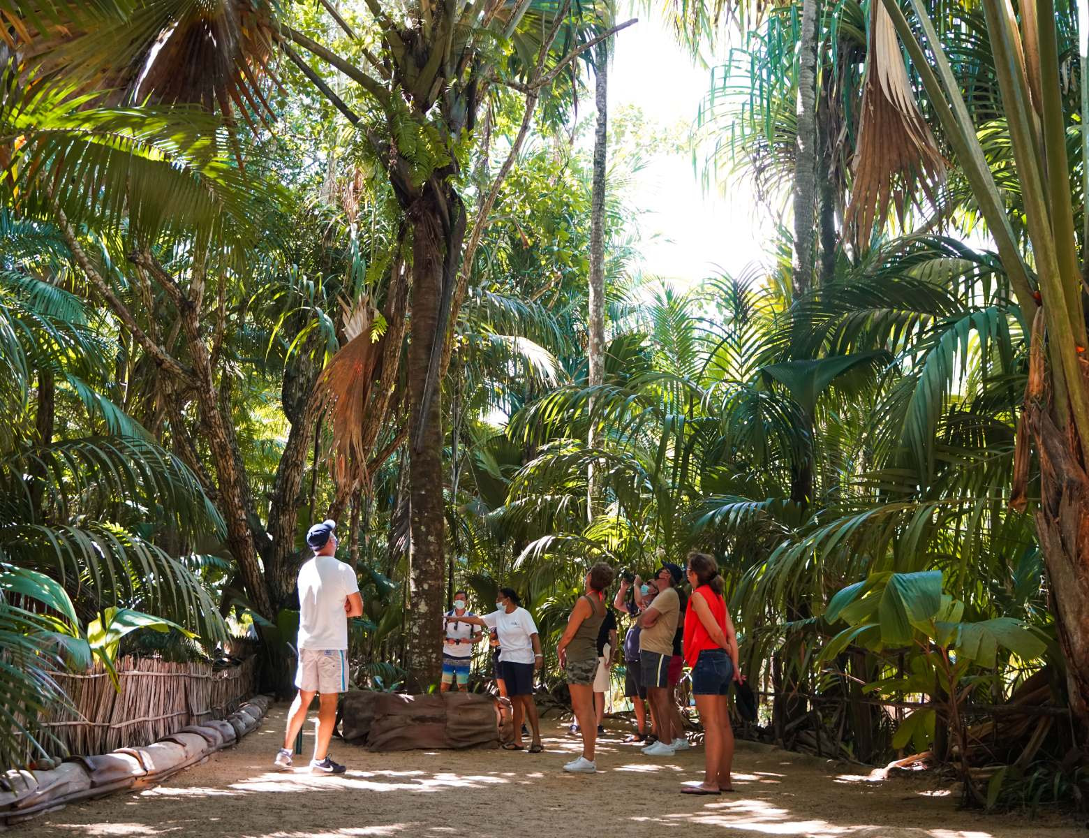 Half Day Valle De Mai Discovery Tour