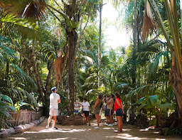 Half Day Valle De Mai Discovery Tour