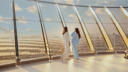 View At The Plam Dubai