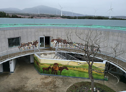 Horse museum