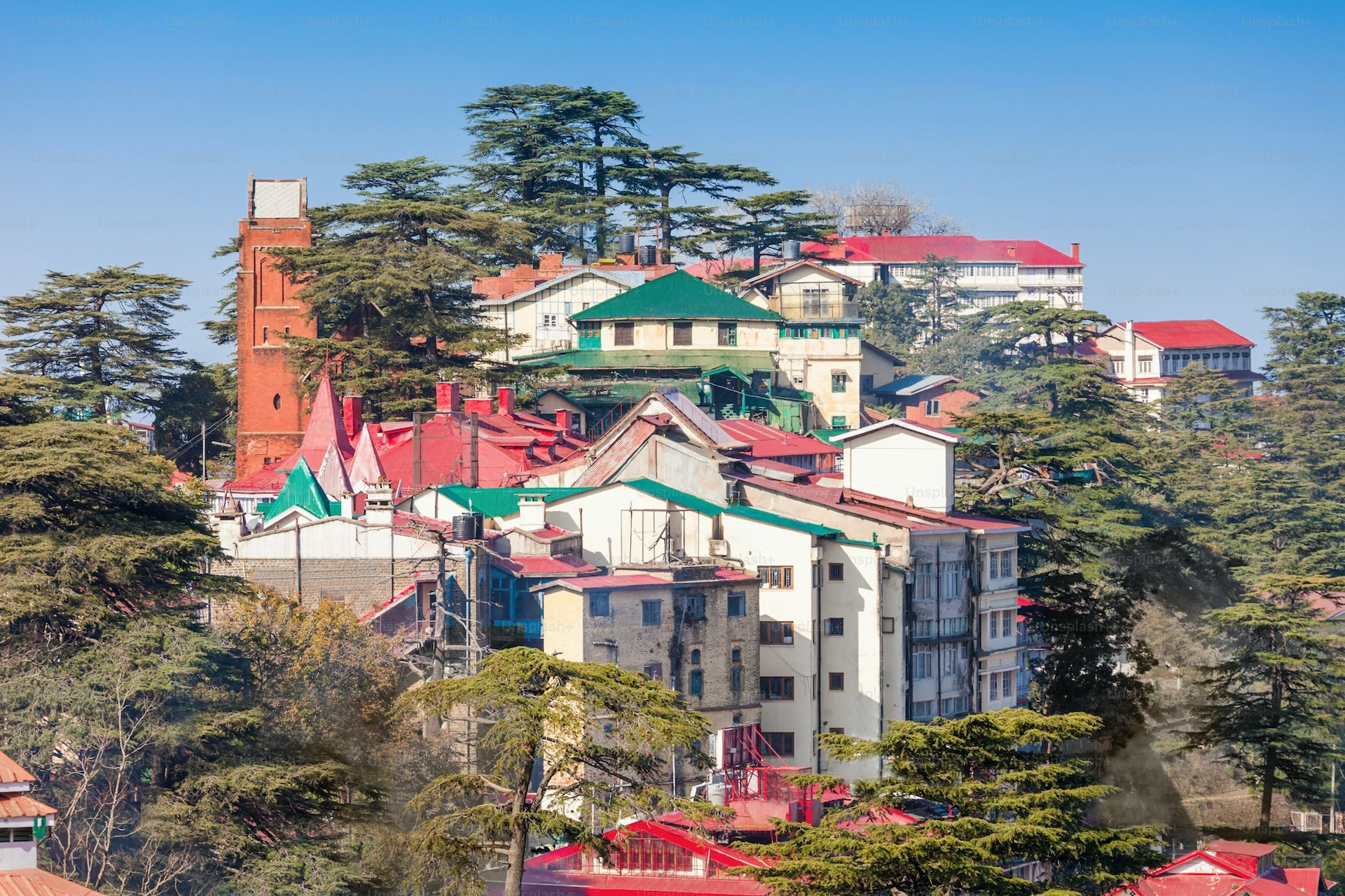 Shimla City Tour 