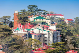 Shimla City Tour 