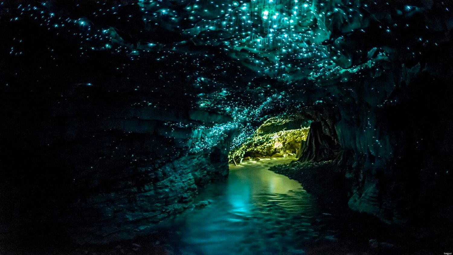 Waitomo Caves