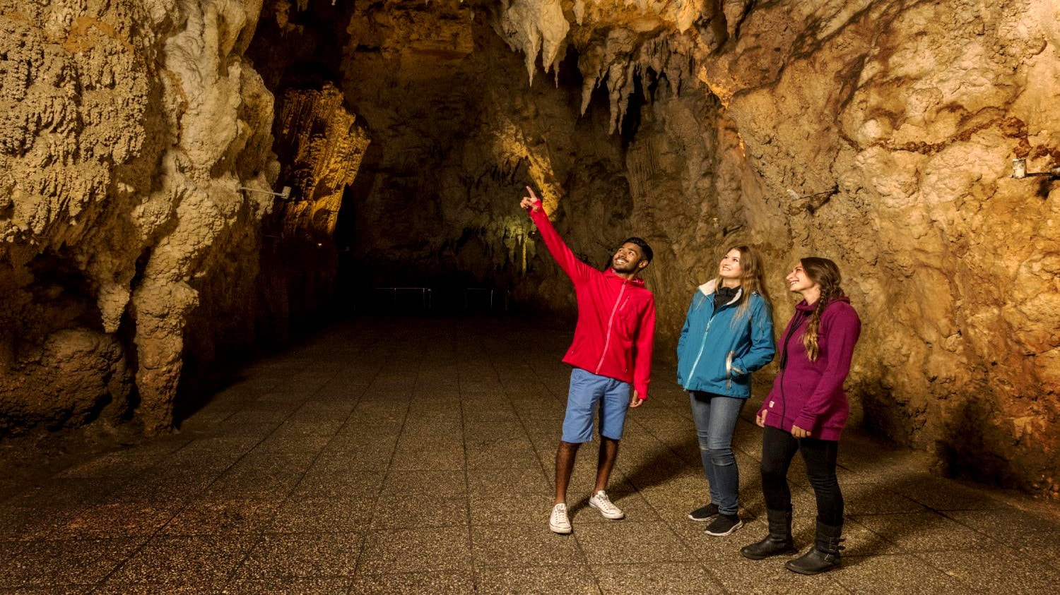 Waitomo Caves