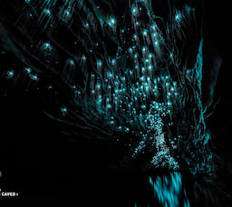 Waitomo Glowworm Caves Night Light View