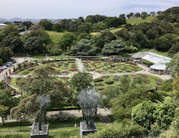 Wellington Botanic Gardens Overview 1