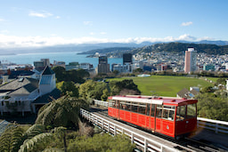 Wellington