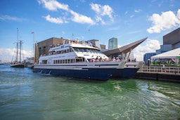 Whale Watching Cruise